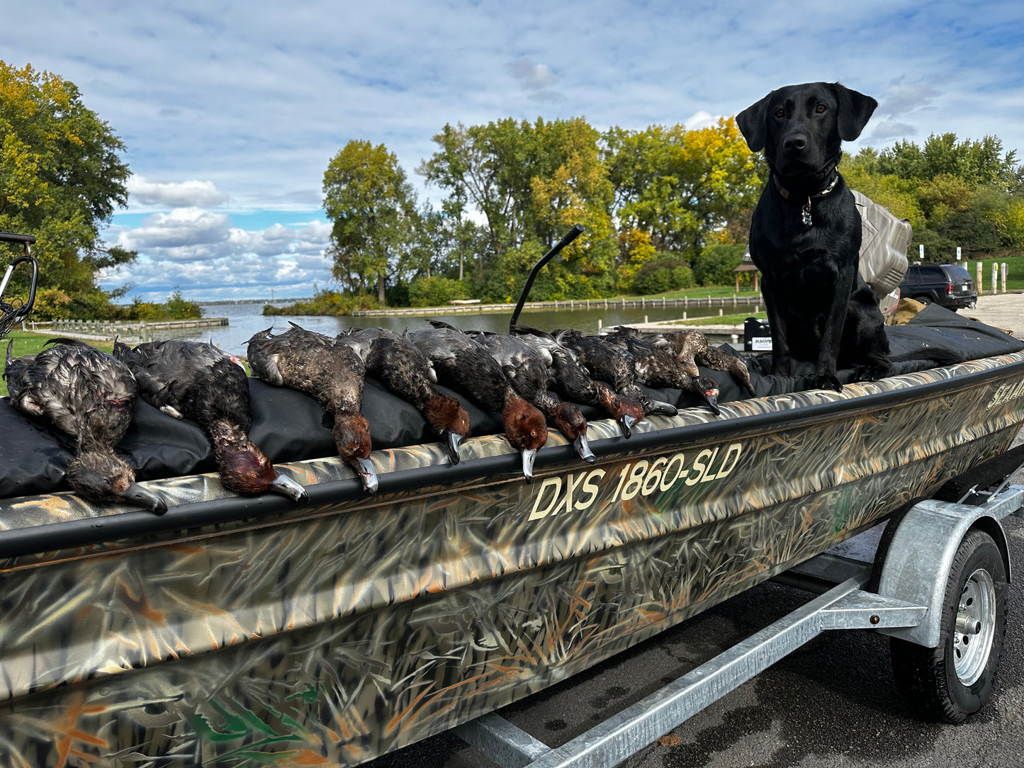 5 Hour Guided Waterfowl Hunt