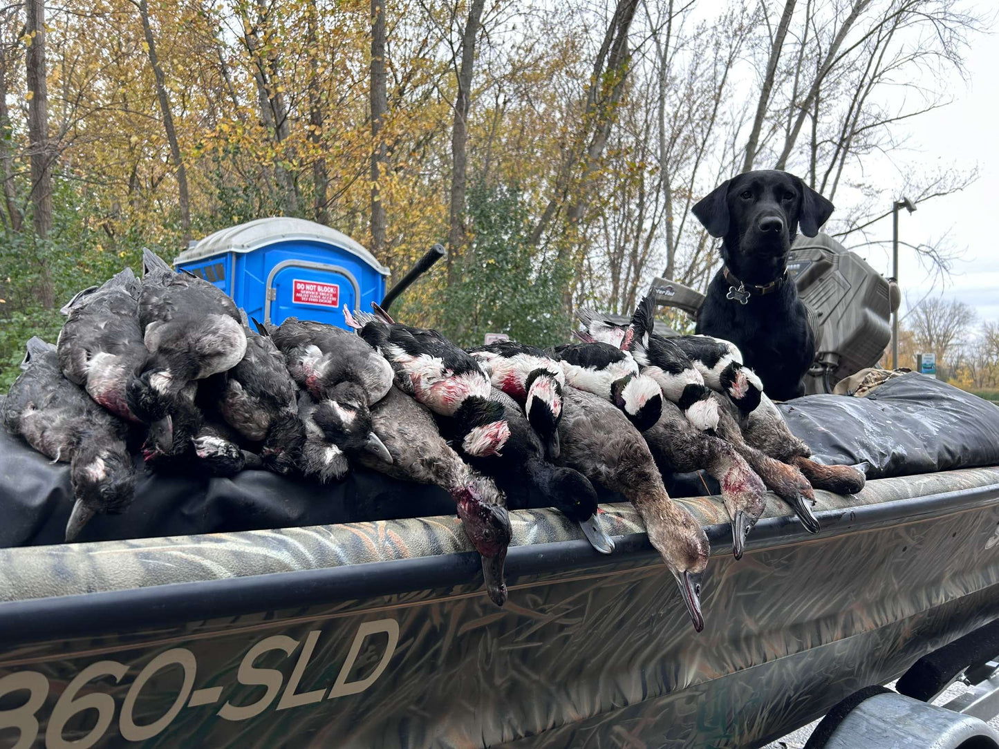 5 Hour Guided Waterfowl Hunt