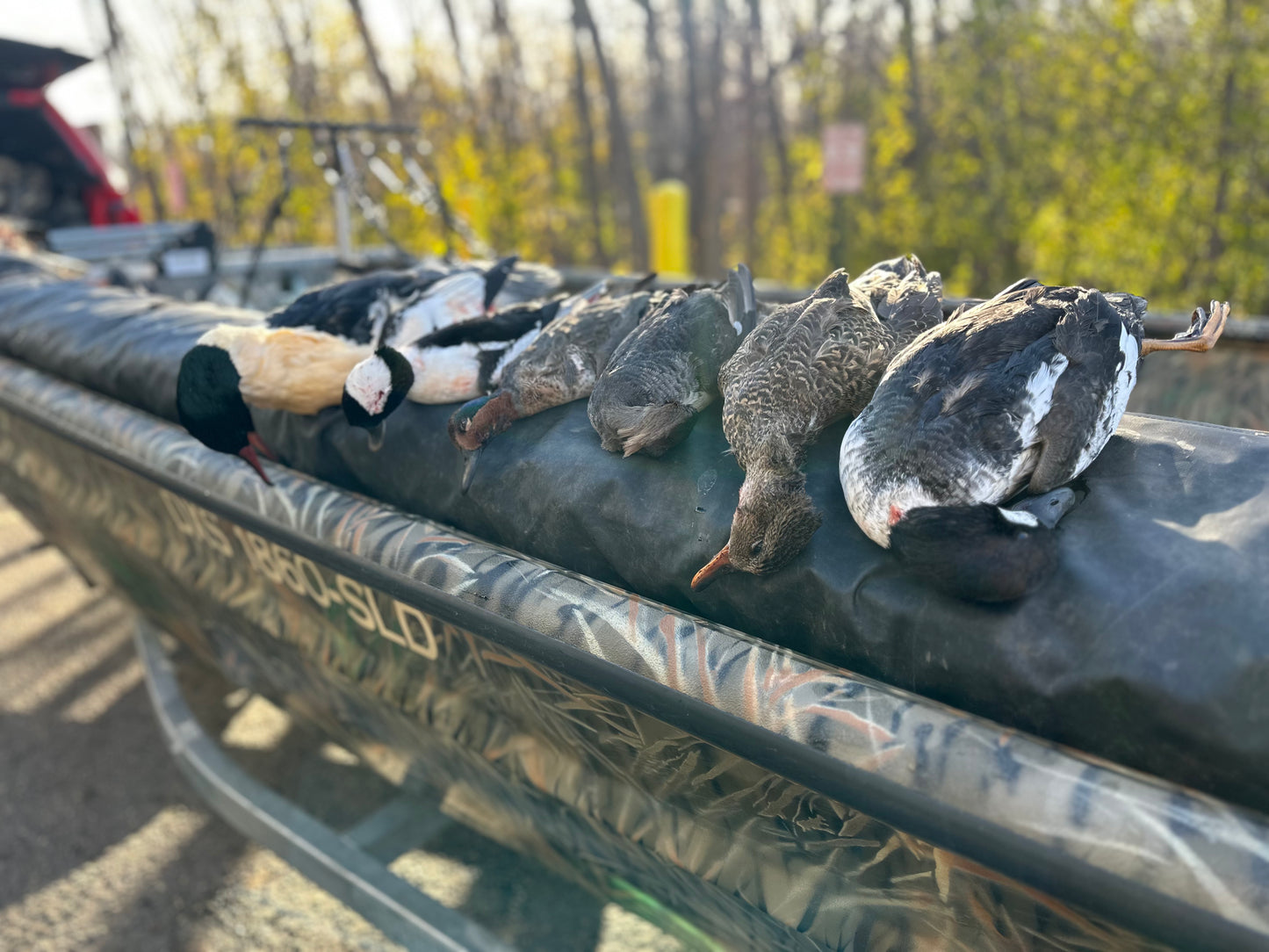 5 Hour Guided Waterfowl Hunt