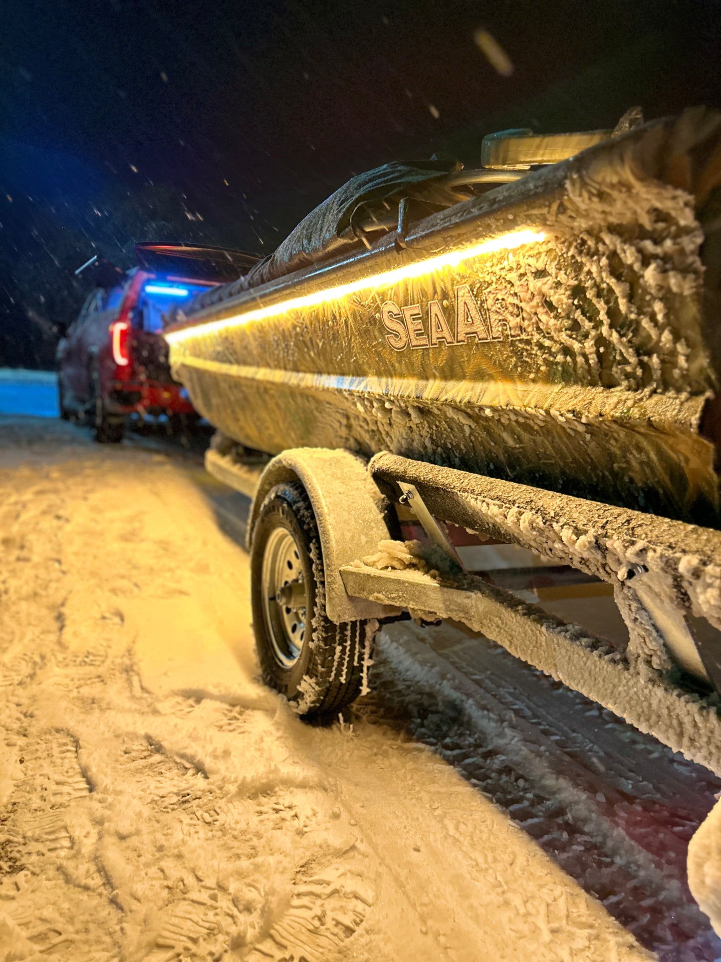 5 Hour Guided Waterfowl Hunt