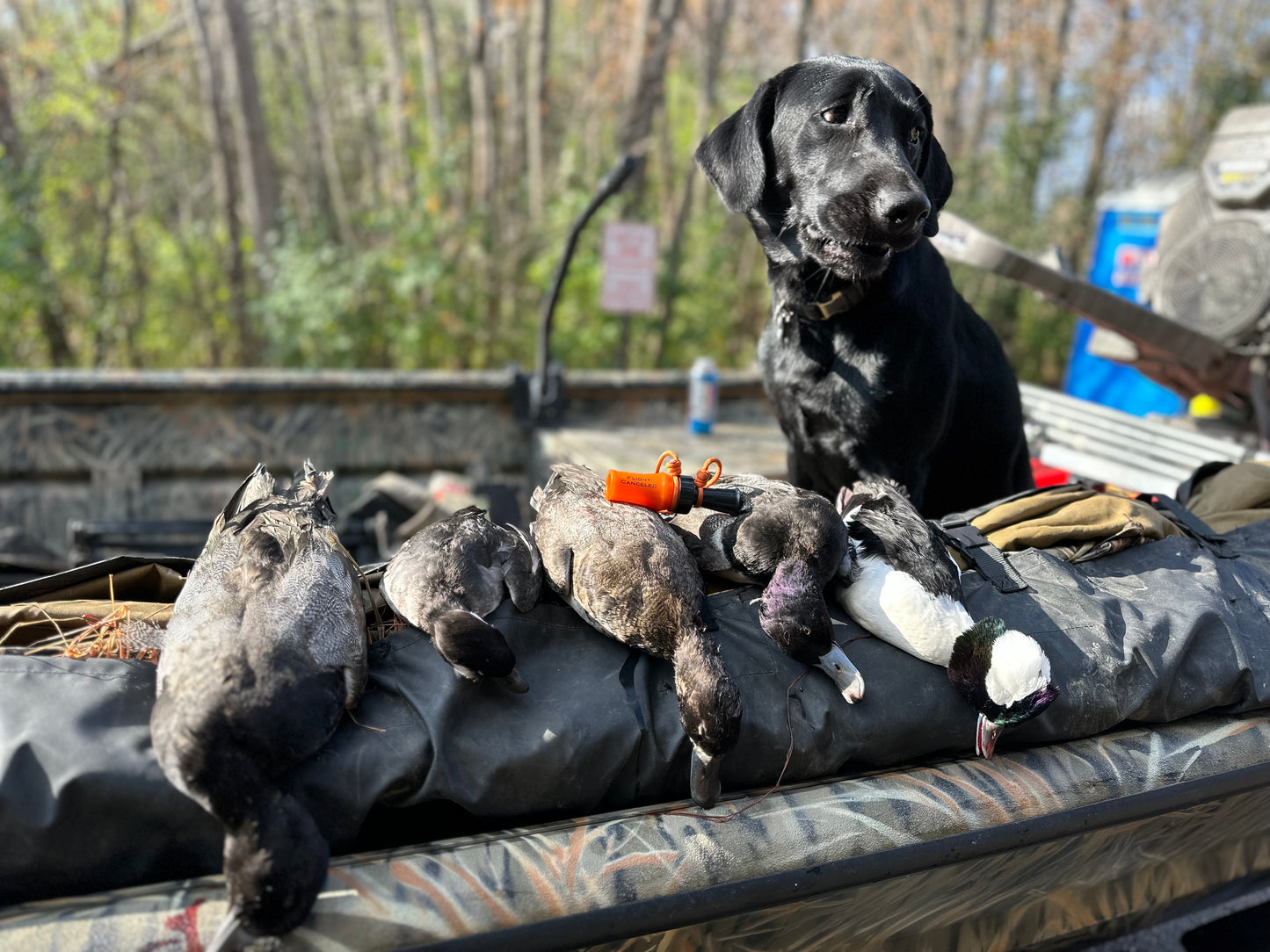 5 Hour Guided Waterfowl Hunt