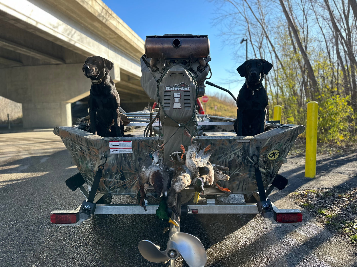 5 Hour Guided Waterfowl Hunt