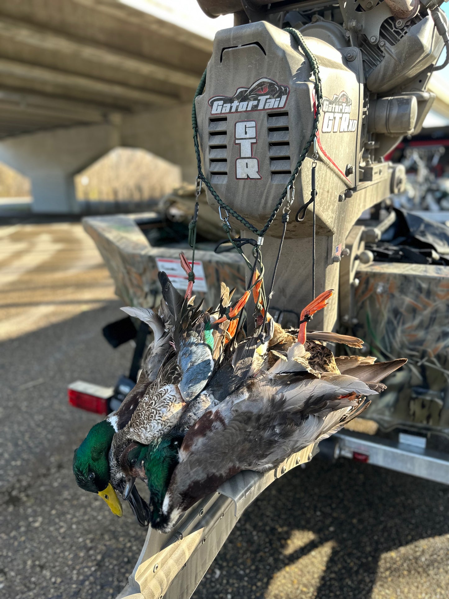 5 Hour Guided Waterfowl Hunt