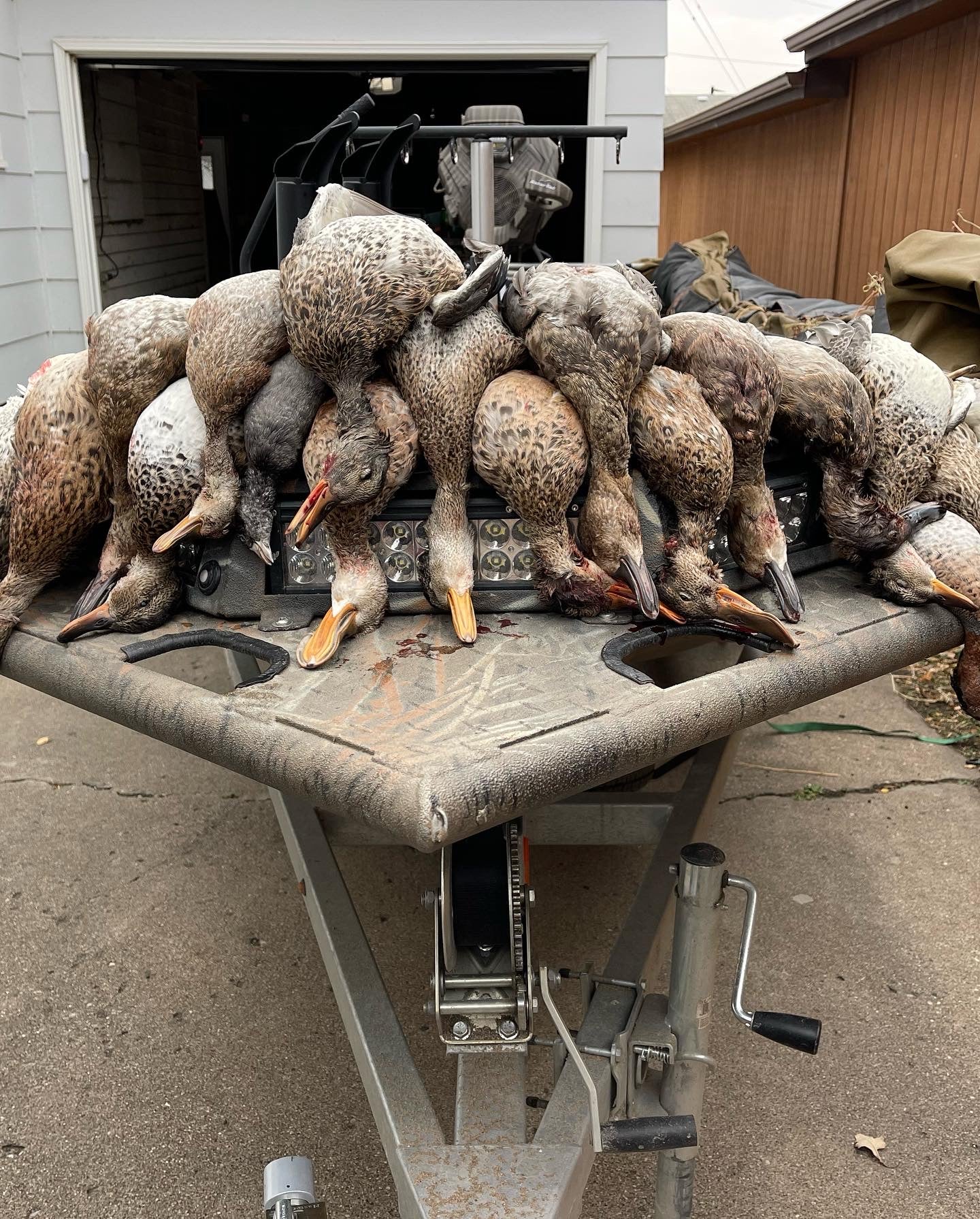 5 Hour Guided Waterfowl Hunt