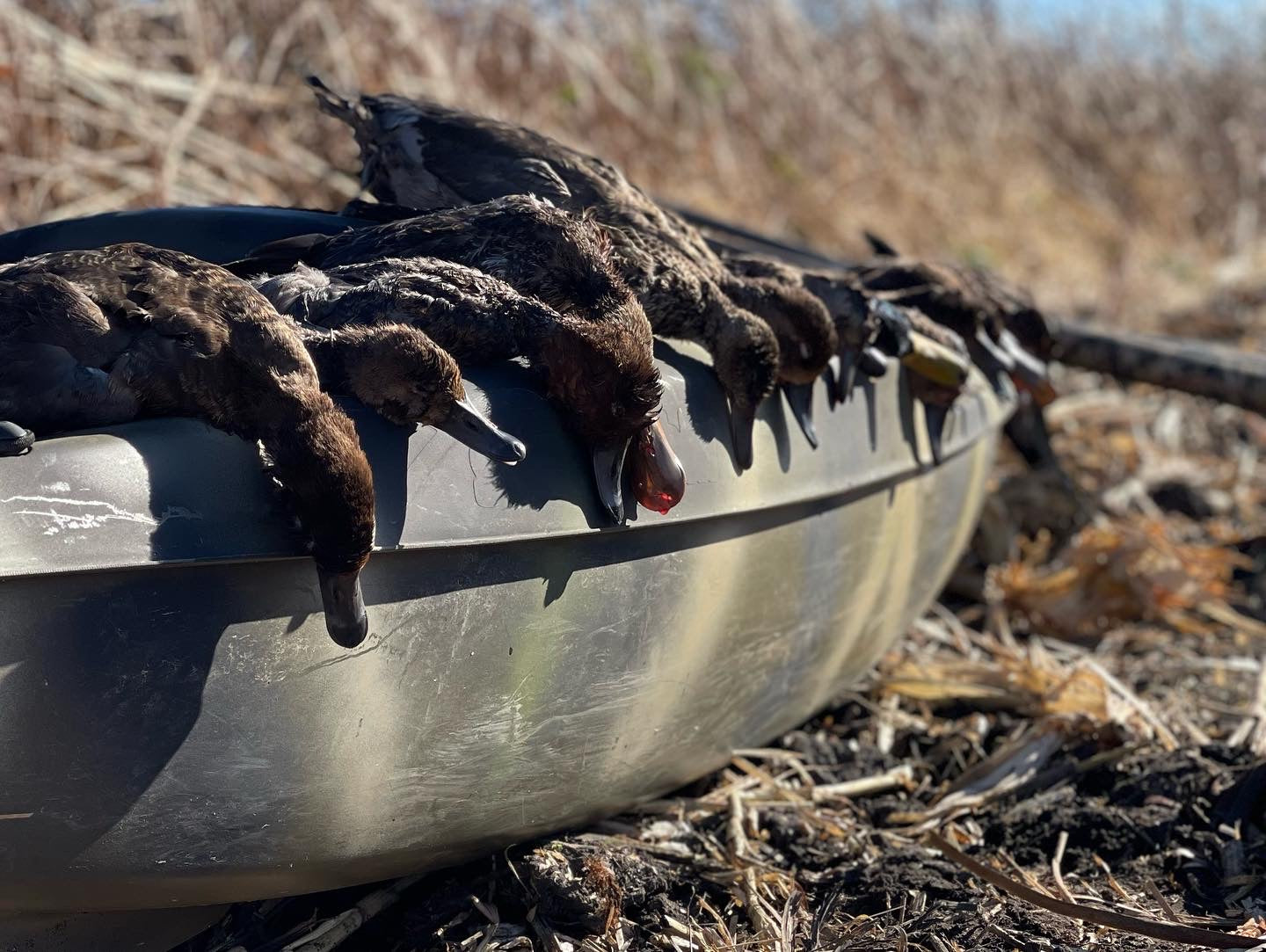 5 Hour Guided Waterfowl Hunt