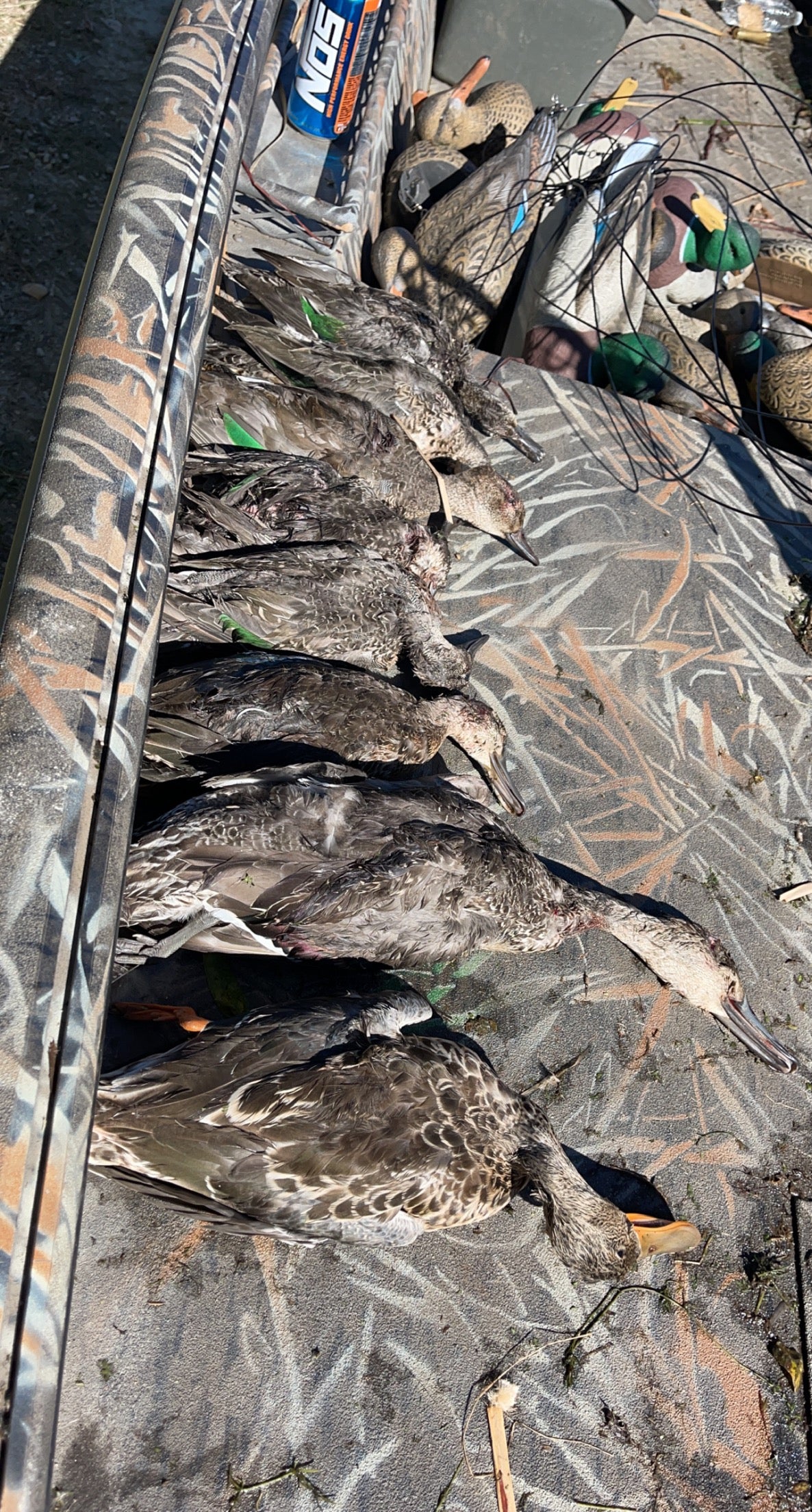 5 Hour Guided Waterfowl Hunt