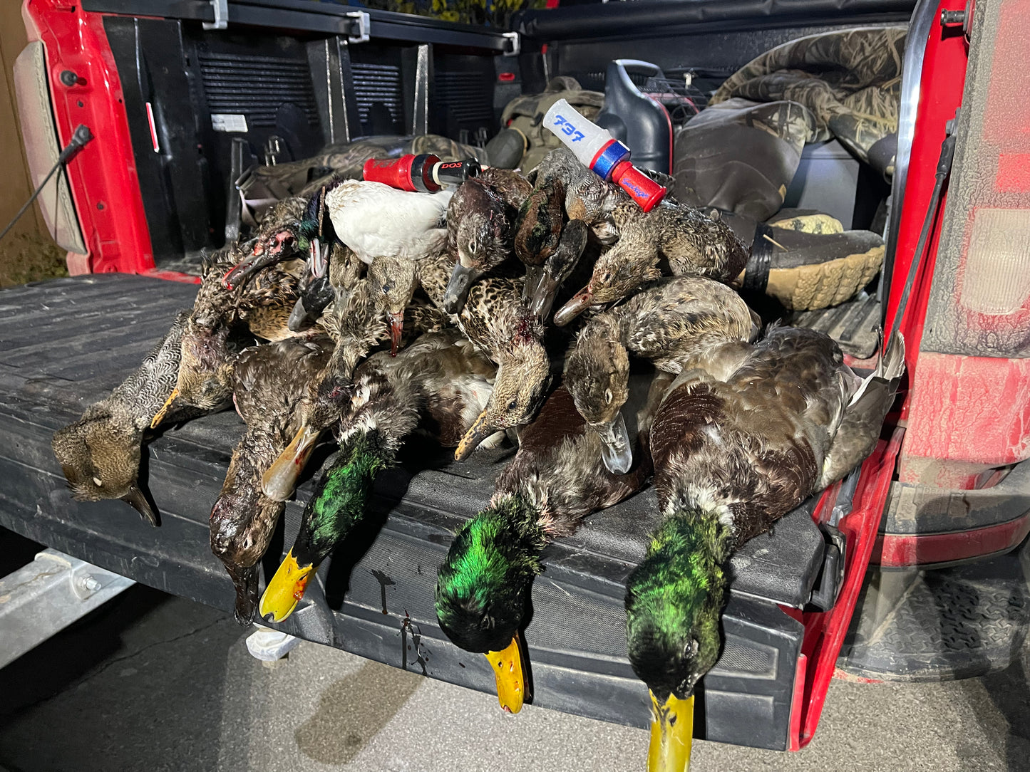 5 Hour Guided Waterfowl Hunt