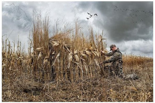Blind Concealment for Waterfowl Hunting