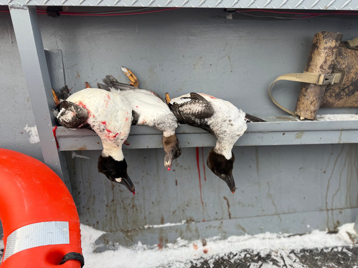 Open Water (Layout) Hunt