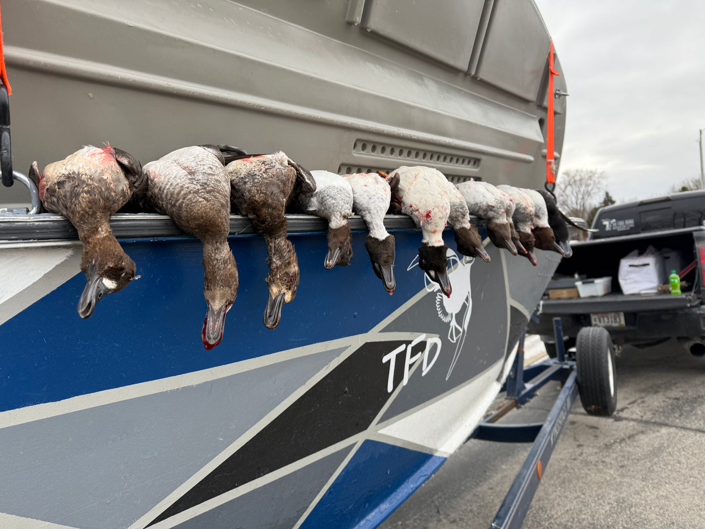 Open Water (Layout) Hunt