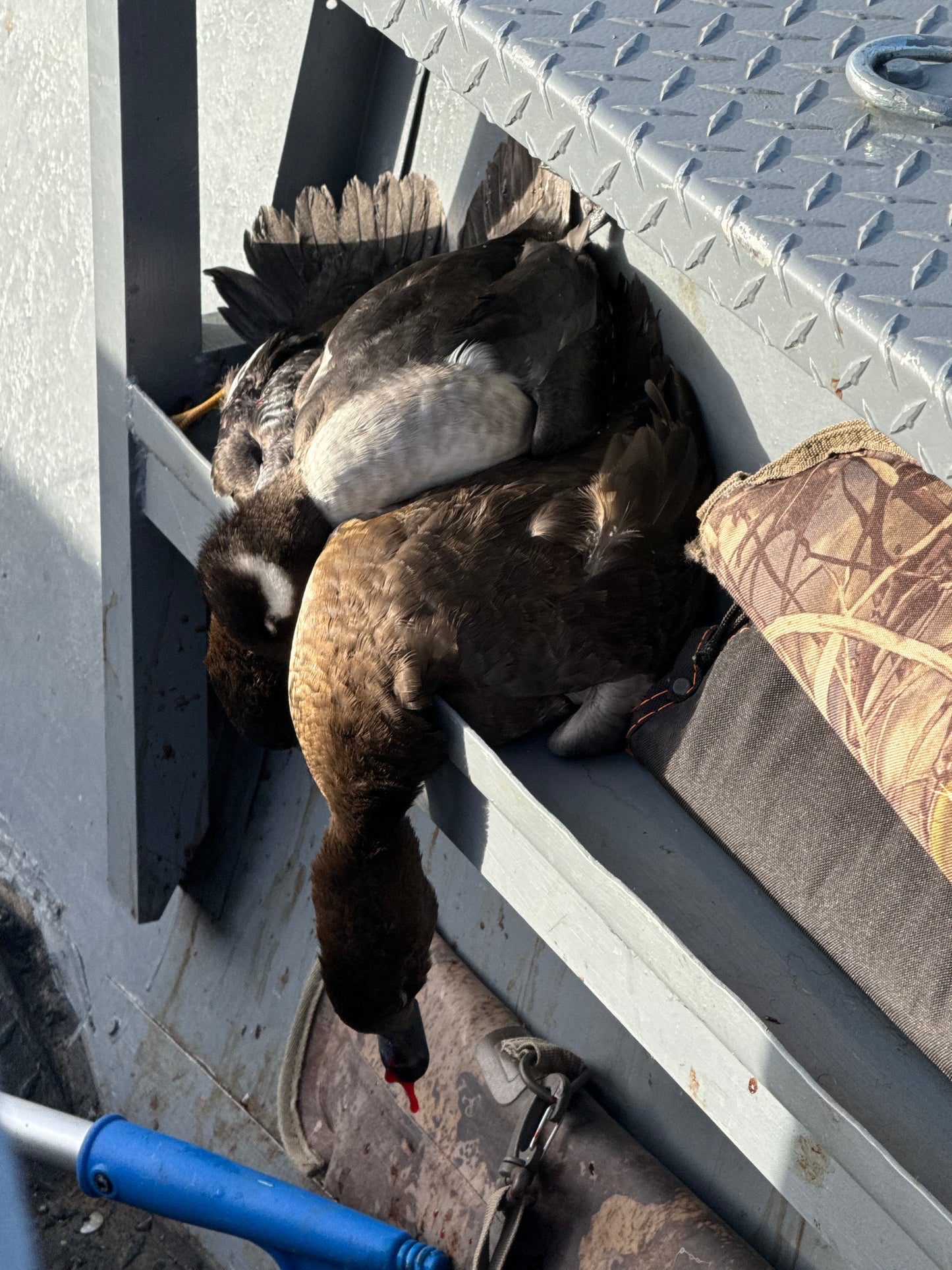 Open Water (Layout) Hunt