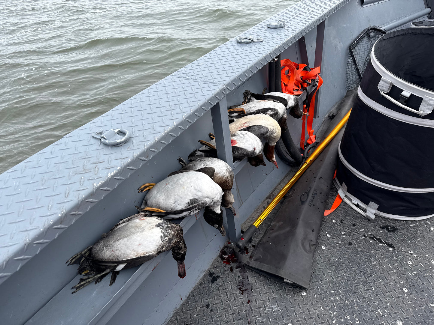 Open Water (Layout) Hunt