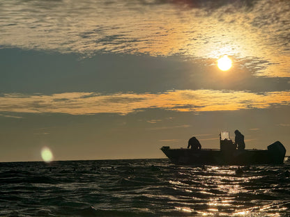 Open Water (Layout) Hunt